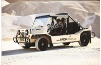 Rover Mini-Moke 09/90-94